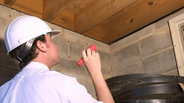 Professional pest control inspector examining home for termites, bed bugs, and pest infestations in Miami